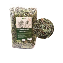 TIVO Mniszek Lekarski 600g MEGA PAKA